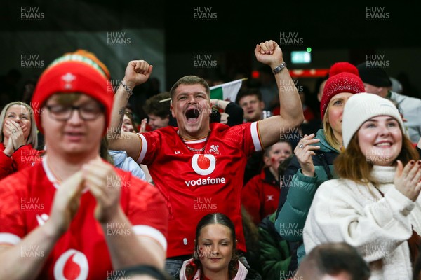 151125 - Wales v Japan - Quilter Nations Series - Wales fans during the match