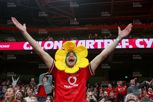 151125 - Wales v Japan - Quilter Nations Series - Wales fans during the match
