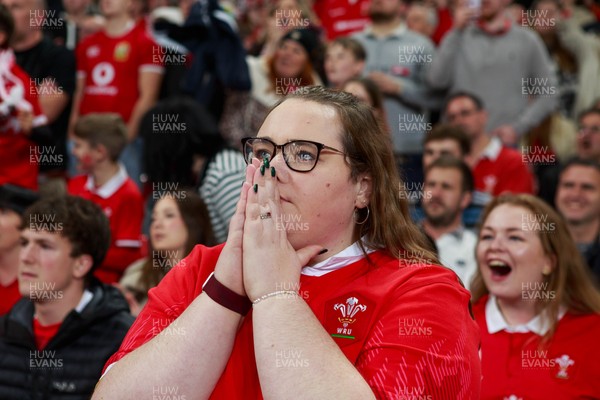 151125 - Wales v Japan - Quilter Nations Series - Wales fans during the match