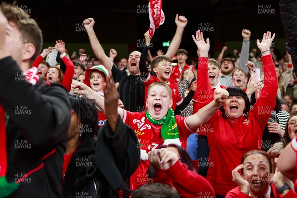 151125 - Wales v Japan - Quilter Nations Series - Wales fans during the match