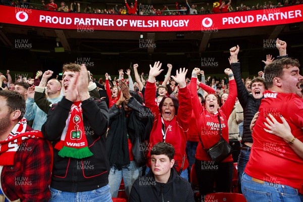 151125 - Wales v Japan - Quilter Nations Series - Wales fans during the match