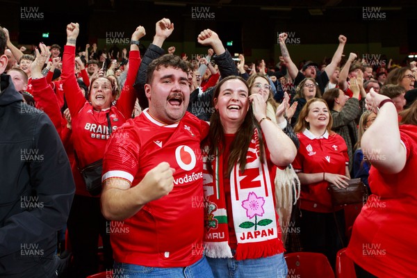 151125 - Wales v Japan - Quilter Nations Series - Wales fans during the match