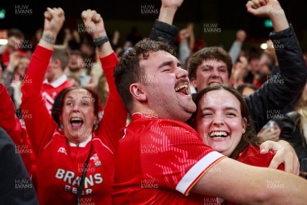 151125 - Wales v Japan - Quilter Nations Series - Wales fans during the match