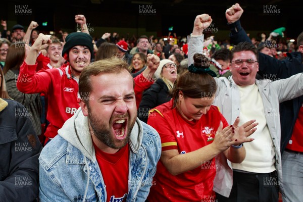 151125 - Wales v Japan - Quilter Nations Series - Wales fans during the match