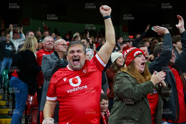 151125 - Wales v Japan - Quilter Nations Series - Wales fans during the match