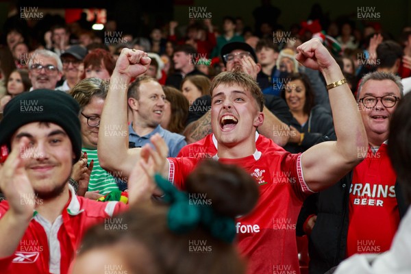 151125 - Wales v Japan - Quilter Nations Series - Wales fans during the match