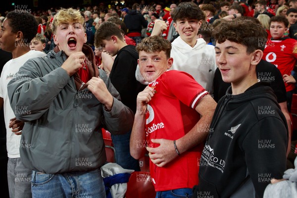 151125 - Wales v Japan - Quilter Nations Series - Wales fans during the match
