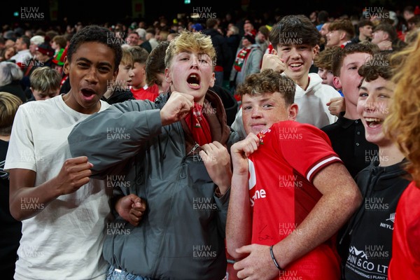 151125 - Wales v Japan - Quilter Nations Series - Wales fans during the match