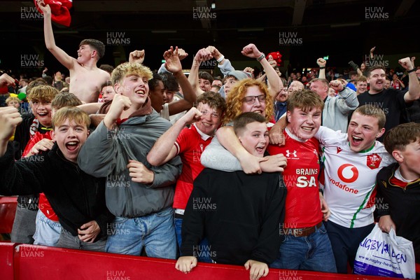 151125 - Wales v Japan - Quilter Nations Series - Wales fans during the match