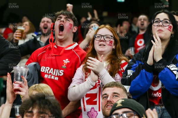 151125 - Wales v Japan - Quilter Nations Series - Wales fans during the match