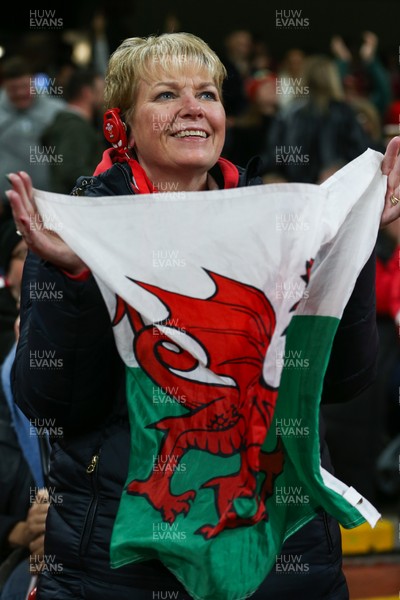 151125 - Wales v Japan - Quilter Nations Series - Wales fans during the match