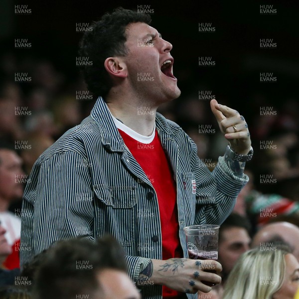 151125 - Wales v Japan - Quilter Nations Series - Wales fans during the match
