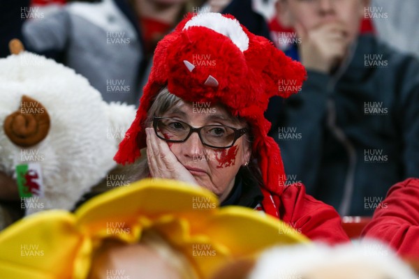 151125 - Wales v Japan - Quilter Nations Series - Wales fans during the match
