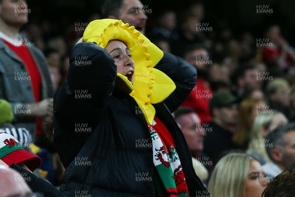 151125 - Wales v Japan - Quilter Nations Series - Wales fans during the match