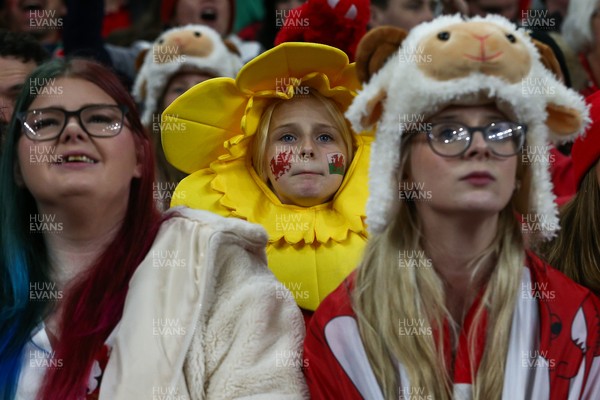 151125 - Wales v Japan - Quilter Nations Series - Wales fans during the match