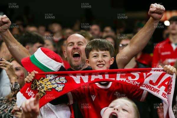 151125 - Wales v Japan - Quilter Nations Series - Wales fans during the match