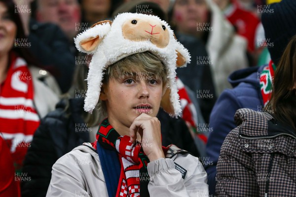 151125 - Wales v Japan - Quilter Nations Series - Wales fans during the match