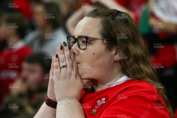 151125 - Wales v Japan - Quilter Nations Series - Wales fans during the match