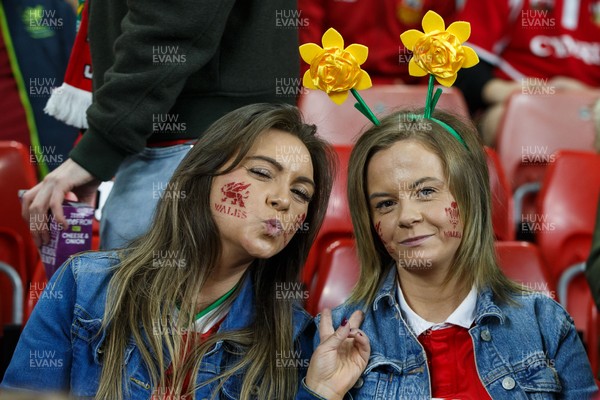 151125 - Wales v Japan - Quilter Nations Series - Wales fans before the match