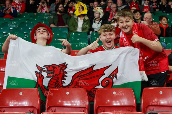 151125 - Wales v Japan - Quilter Nations Series - Wales fans before the match
