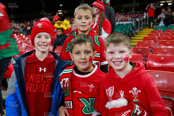 151125 - Wales v Japan - Quilter Nations Series - Wales fans before the match