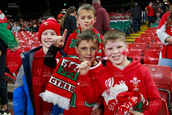 151125 - Wales v Japan - Quilter Nations Series - Wales fans before the match