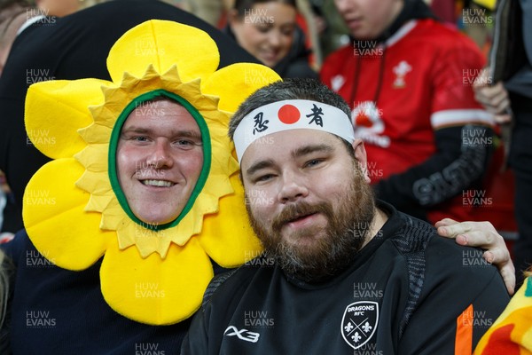 151125 - Wales v Japan - Quilter Nations Series - Wales fans before the match