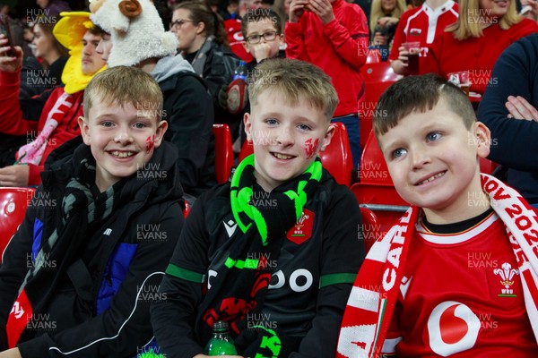 151125 - Wales v Japan - Quilter Nations Series - Wales fans before the match