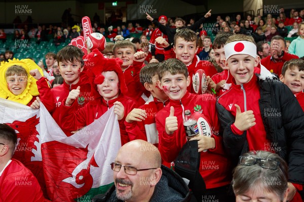151125 - Wales v Japan - Quilter Nations Series - Wales fans before the match