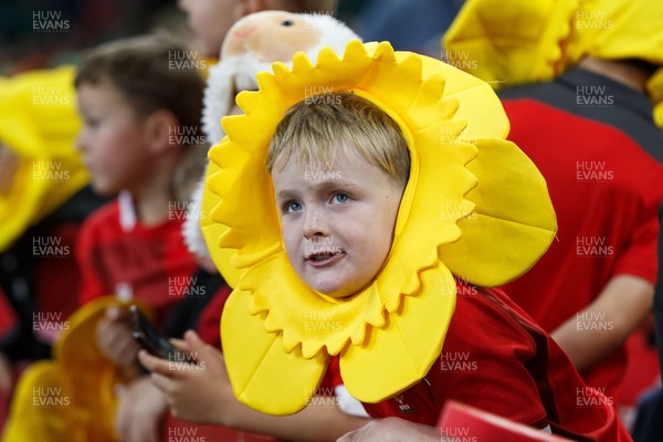 151125 - Wales v Japan - Quilter Nations Series - Wales fans before the match