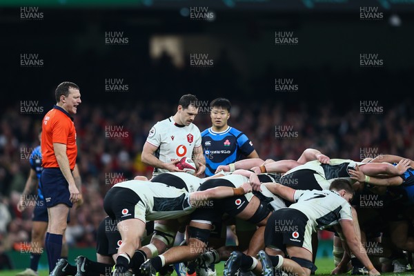 151125 - Wales v Japan - Quilter Nations Series - Tomos Williams of Wales feeds a scrum