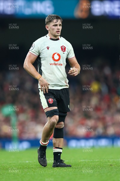 151125 - Wales v Japan - Quilter Nations Series - Alex Mann of Wales