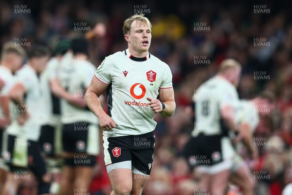 151125 - Wales v Japan - Quilter Nations Series - Blair Murray of Wales