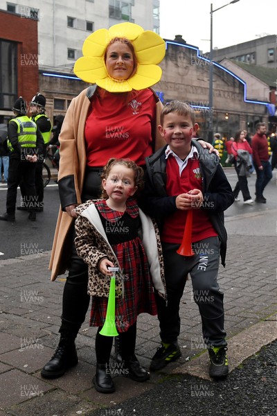 151125 - Wales v Japan - Quilter Nations Series - fans