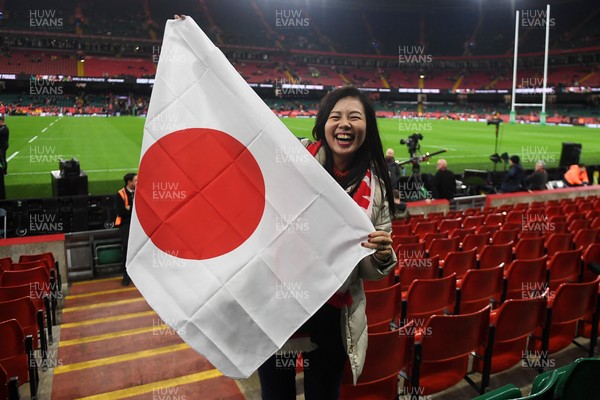 151125 - Wales v Japan - Quilter Nations Series - fans
