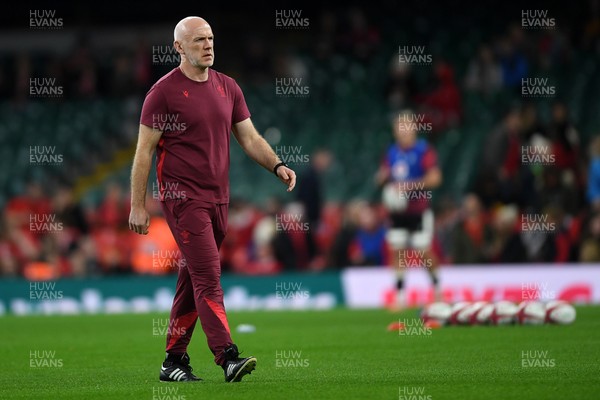 151125 - Wales v Japan - Quilter Nations Series - Steve Tandy, Wales Head Coach