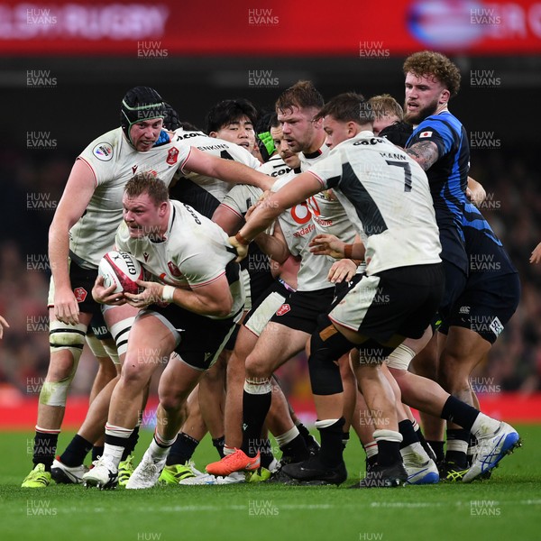 151125 - Wales v Japan - Quilter Nations Series - Dewi Lake of Wales