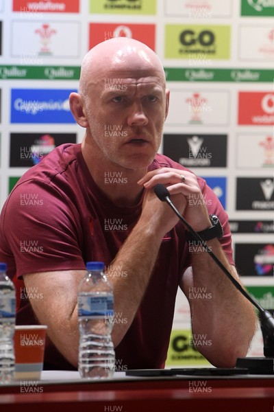 151125 - Wales v Japan - Quilter Nations Series - Steve Tandy, Wales Head Coach speaks in a press conference at full time