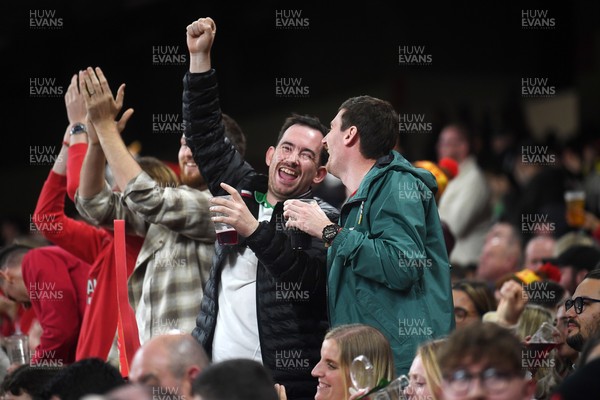151125 - Wales v Japan - Quilter Nations Series - fans