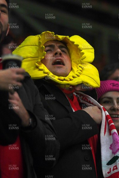 151125 - Wales v Japan - Quilter Nations Series - fans during the anthem