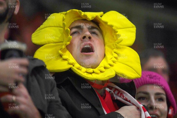 151125 - Wales v Japan - Quilter Nations Series - fans during the anthem
