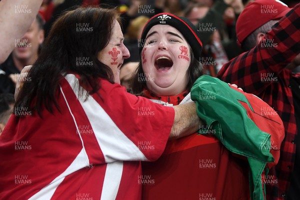 151125 - Wales v Japan - Quilter Nations Series - Wales fans celebrate as the winning kick goes through the posts