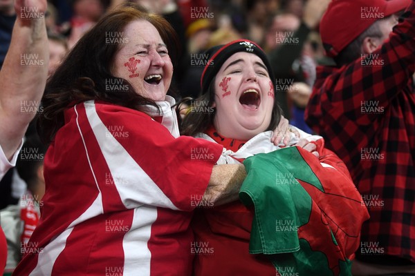 151125 - Wales v Japan - Quilter Nations Series - Wales fans celebrate as the winning kick goes through the posts
