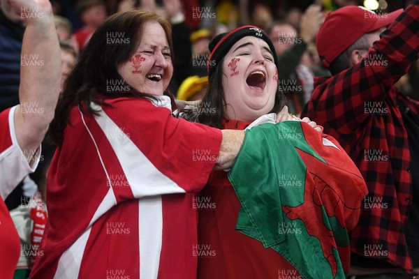151125 - Wales v Japan - Quilter Nations Series - Wales fans celebrate as the winning kick goes through the posts