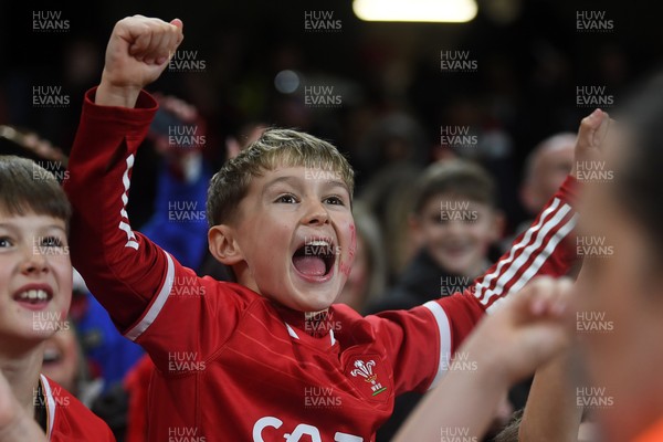 151125 - Wales v Japan - Quilter Nations Series - Wales fans celebrate as the winning kick goes through the posts
