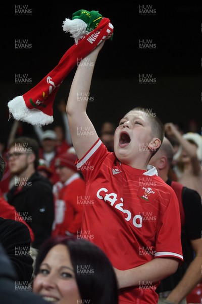 151125 - Wales v Japan - Quilter Nations Series - Wales fans celebrate as the winning kick goes through the posts