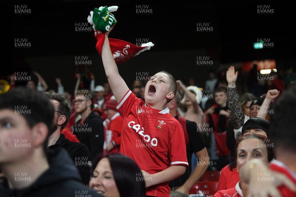 151125 - Wales v Japan - Quilter Nations Series - Wales fans celebrate as the winning kick goes through the posts