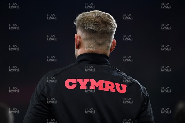 151125 - Wales v Japan - Quilter Nations Series - 