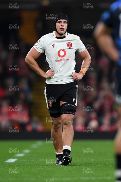 151125 - Wales v Japan - Quilter Nations Series - Dafydd Jenkins of Wales