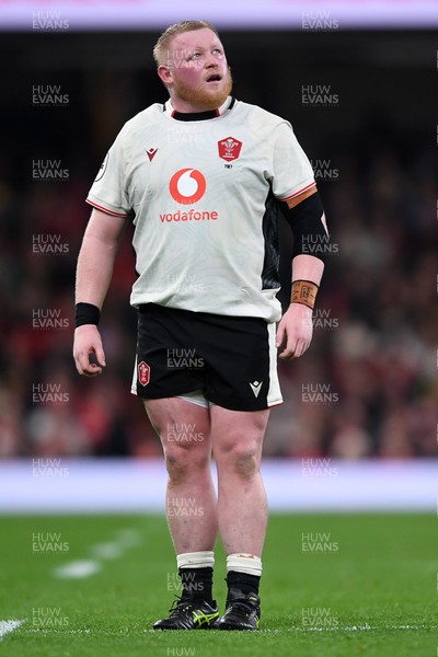 151125 - Wales v Japan - Quilter Nations Series - Keiron Assiratti of Wales